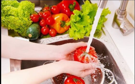 Alerta IMSS Veracruz Sur por enfermedades gastrointestinales