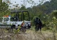 Son localizados restos humanos dentro de una bolsa en Coatzintla Son localizados restos humanos dentro de una bolsa en Coatzintla