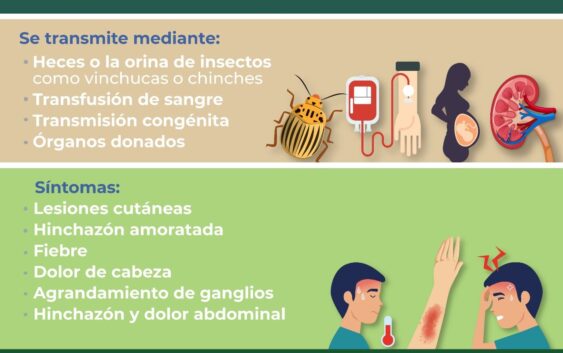 Ofrece IMSS Veracruz Sur recomendaciones para evitar enfermedad de chagas