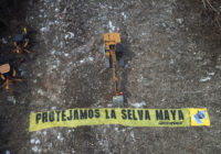 Interpone Greenpeace amparo contra Tramo 5 del Tren Maya Interpone Greenpeace amparo contra Tramo 5 del Tren Maya
