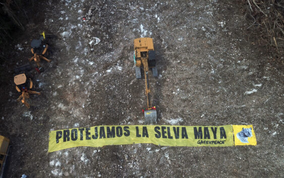 Interpone Greenpeace amparo contra Tramo 5 del Tren Maya