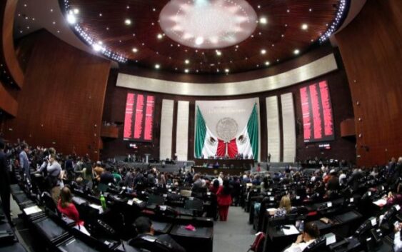 Diputadas y diputados se reúnen con representantes del sector de la economía social