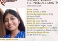 Hallan muerta a Clara Noemí, joven de 15 años desaparecida desde el 29 de marzo en Veracruz Hallan muerta a Clara Noemí, joven de 15 años desaparecida desde el 29 de marzo en Veracruz