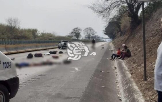 4 muertos y 4 heridos en accidente sobre la Veracruz- Córdoba