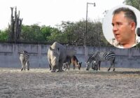 Matan al empresario Armando Coello Arroyo, tío del senador Manuel Velasco