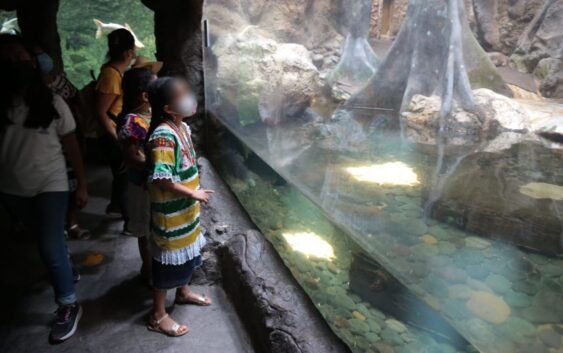 Zenyazen Escobar visita el Aquarium con niñas y niños de diversas escuelas de la entidad