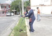 Personal del Ayuntamiento realiza limpieza profunda en el Auditorio Municipal