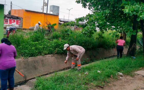 Limpia Ayuntamiento canales principales en colonias de Coatzacoalcos