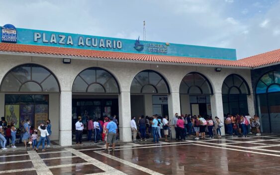 Haremos del Aquarium de Veracruz el mejor atractivo turístico del país: PMA
