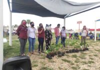 Invitan a “Misión Tlacuache Ecológico” a escuela Vicente Guerrero