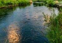 Hallan cuerpo flotando en el río La Antigua