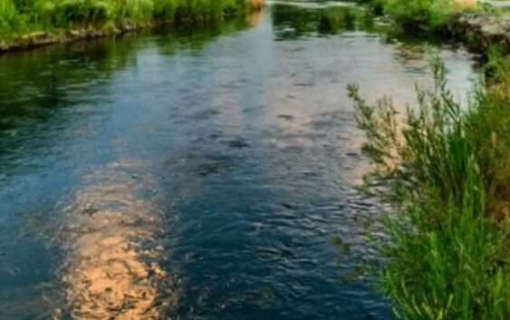 Hallan cuerpo flotando en el río La Antigua