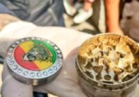 “Algunos se reían y estaban nerviosos”: 38 alumnos de primaria se intoxican con marihuana en Valle de Chalco