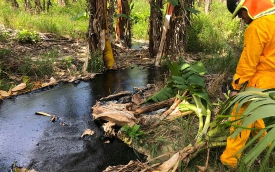 Daños serían irreversibles: Fuga de hidrocarburo afectó arroyos y cultivos agrícolas en Papantla