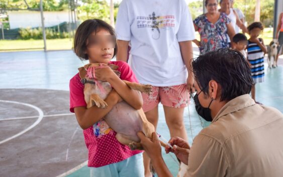 Ayuntamiento de Coatzacoalcos conmemora “Día del Perro Callejero” con vacunación