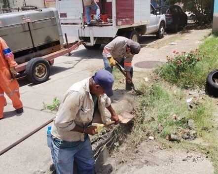 Presidente Amado Cruz trabaja en la seguridad vial con rejillas en buen estado