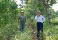 Camino saca-cosechas en Nuevo quiamoloapan