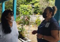 Mejora HGZ No. 35 de Cosamaloapan calidad de vida a paciente con hernia incisional y exposición de intestinos