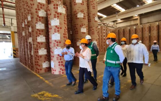 Entrega IMSS Veracruz Sur primer distintivo de Entornos Laborales Seguros y Saludables en el estado