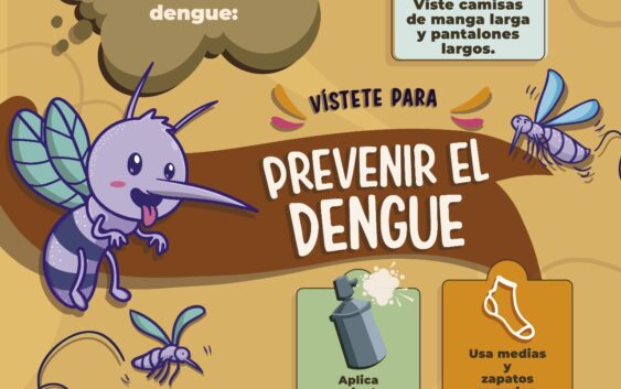Alerta IMSS Veracruz Sur a reforzar limpieza en casa y evitar acumulamiento de agua para prevenir dengue, zika y chikungunya