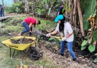 Trabajan empleados municipales en desazolve de canales en la Constituyentes