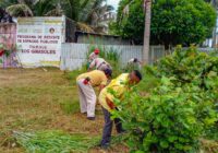 Gobierno de Coatzacoalcos mantiene en óptimas condiciones parques y áreas verdes