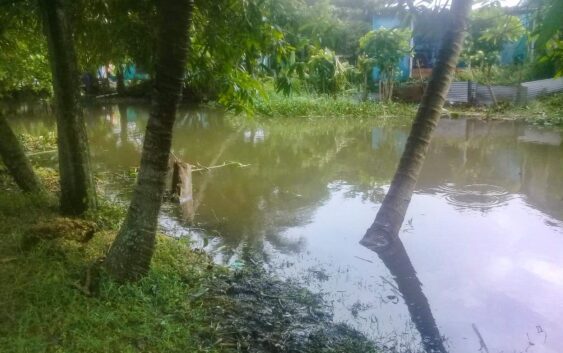 Labora Gobierno de Coatzacoalcos en limpieza de canales de la colonia Independencia