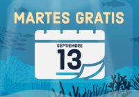 ¡No te quedes fuera! El martes 13, el Aquarium del Puerto de Veracruz es gratis