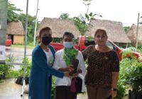 Comenzó la entrega de&nbsp; 4 mil plantas maderables a productores de Cosoleacaque.