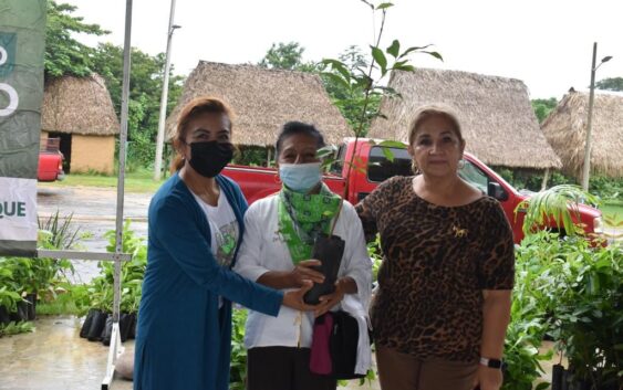 Comenzó la entrega de&nbsp; 4 mil plantas maderables a productores de Cosoleacaque.