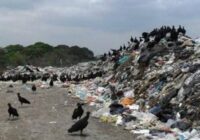 Desastre ecológico en Tierra Blanca por tiradero de basura a cielo abierto. Desastre ecológico en Tierra Blanca por tiradero de basura a cielo abierto.