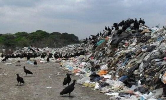 Desastre ecológico en Tierra Blanca por tiradero de basura a cielo abierto.