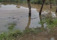 POR SEGUNDA VEZ QUEDA INCOMUNICADA LA ZONA RURAL DE MINATITLÁN; ALCALDESA LOS TIENE OLVIDADOS POR SEGUNDA VEZ QUEDA INCOMUNICADA LA ZONA RURAL DE MINATITLÁN; ALCALDESA LOS TIENE OLVIDADOS