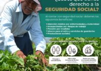 Ofrece IMSS Veracruz Sur afiliación a trabajadores del campo