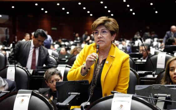 Fuerzas Armadas harán tareas de seguridad pública hasta el 2028: Hernández Espejo