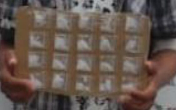 Interviene SSP a tres personas en Alvarado, Medellín de Bravo y Veracruz