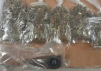 Detiene SSP a tres personas por delitos contra la salud en Veracruz.