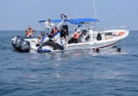 Liberan a delfín tras salvarle la vida en el Aquarium del Puerto de Veracruz Liberan a delfín tras salvarle la vida en el Aquarium del Puerto de Veracruz
