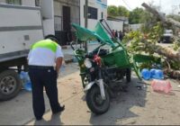 RAMÓN SALIÓ A BUSCAR EL SUSTENTO PARA SUS HIJOS Y MURIÓ APLASTADO POR UN ÁRBOL.