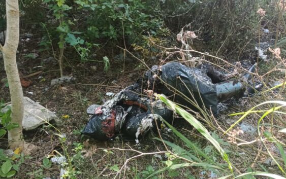 Lo ejecutan, semi calcinan y tiran en bolsa