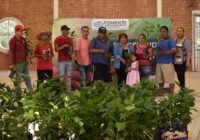 Entrega Ayuntamiento de Cosoleacaque plantas de café en Coacotla