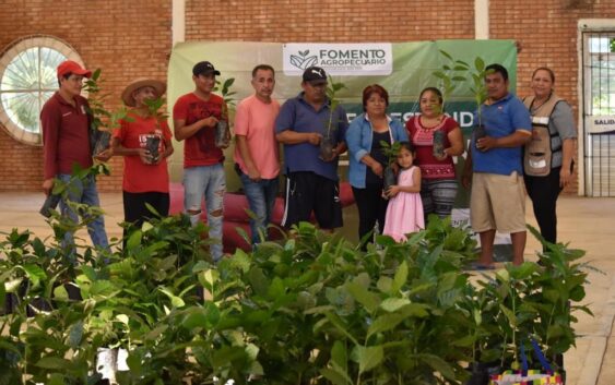 Entrega Ayuntamiento de Cosoleacaque plantas de café en Coacotla