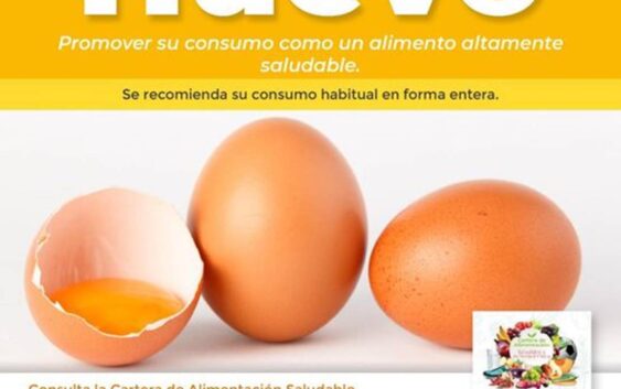 Informa IMSS Veracruz Sur sobre beneficios del consumo de huevo