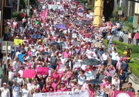 La mega marcha ciudadana