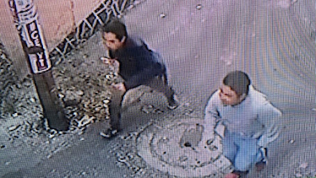 Dos desalmados asesinan a la perrita «Waffle» en Milpa Alta