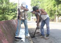 En Agua Dulce continúa programa delimpieza y embellecimiento de avenidas