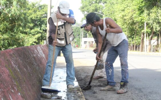 En Agua Dulce continúa programa delimpieza y embellecimiento de avenidas