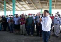 Draga de la Secretaría de Marina arriba a la laguna de Tamiahua; pescadores reconocen gestión del diputado Sergio Gutiérrez Luna Draga de la Secretaría de Marina arriba a la laguna de Tamiahua; pescadores reconocen gestión del diputado Sergio Gutiérrez Luna