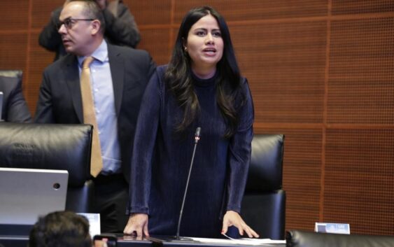 Urge la Senadora Indira Rosales aprobar iniciativa presentada para establecer sanciones más severas a quien cometa delitos en contra de las mujeres embarazadas