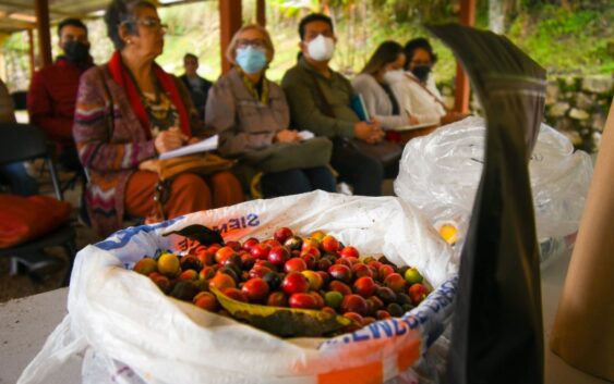 Imparten a productores taller “Calidad del Café: Manejo Integrado Postcosecha”